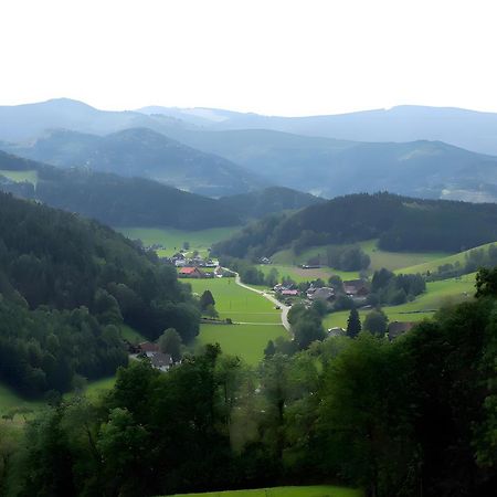 Ruhige Schwarzwald Ferienwohnung Buchenbach  Eksteriør bilde