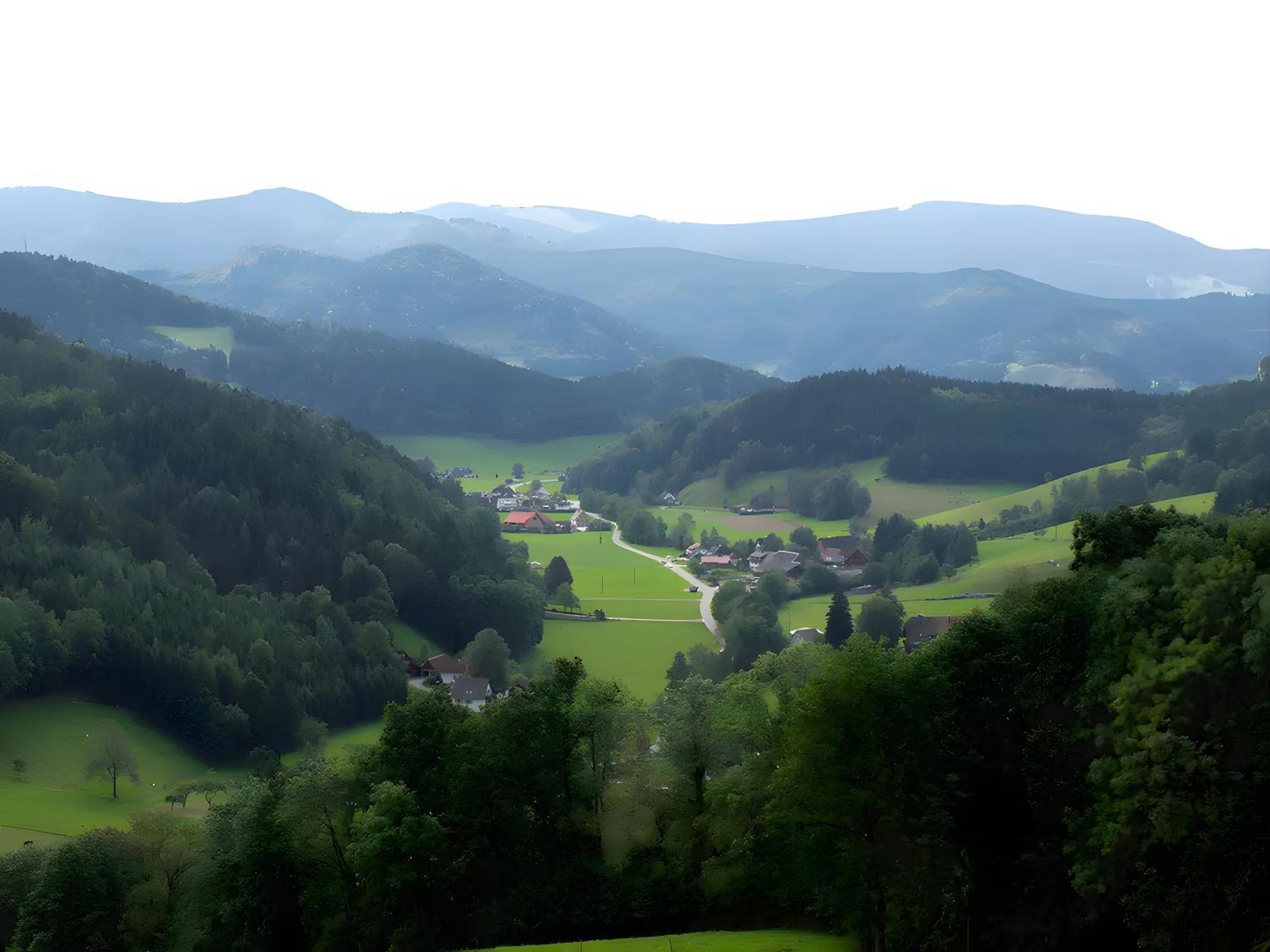 Ruhige Schwarzwald Ferienwohnung Buchenbach  Eksteriør bilde